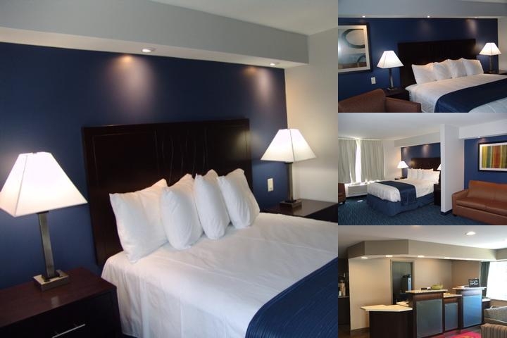 Clarion Pointe Downtown photo collage