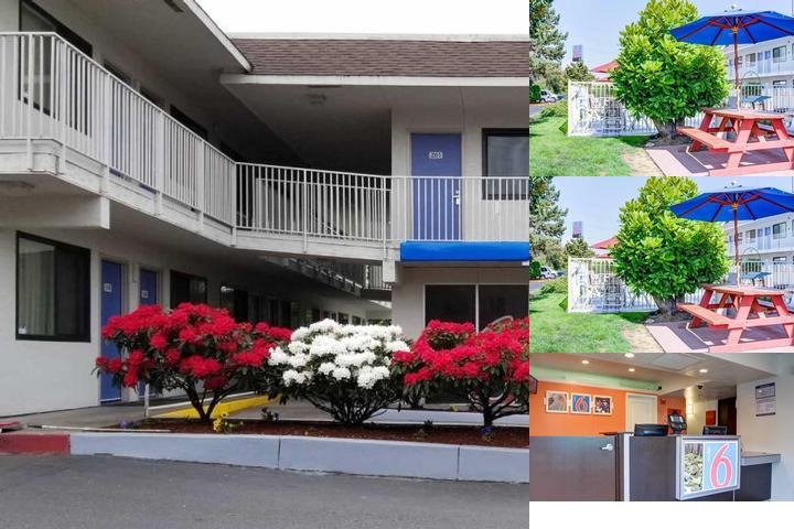 Motel 6 Springfield, OR - Eugene North photo collage