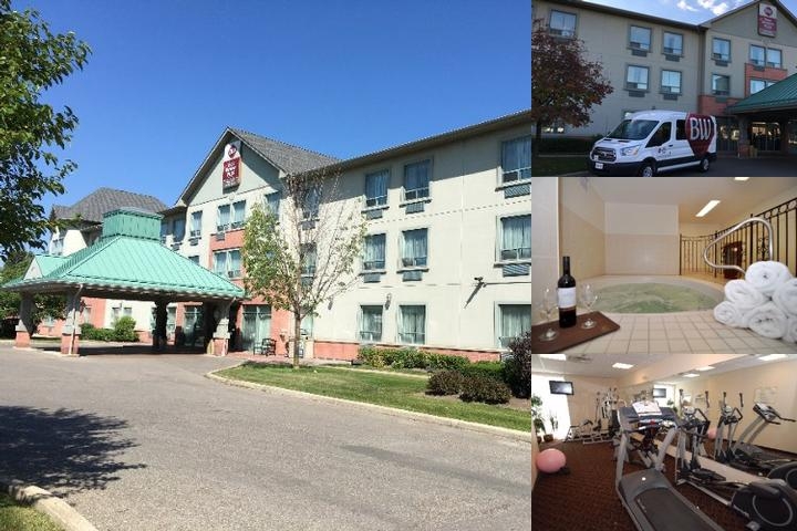 Best Western Plus Travel Hotel Toronto Airport photo collage
