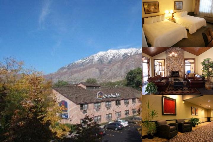 Provo River Inn photo collage