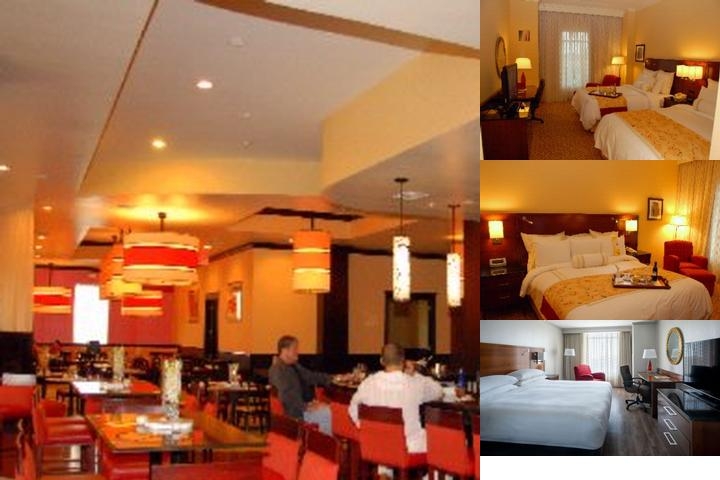 St. Petersburg Marriott Clearwater photo collage