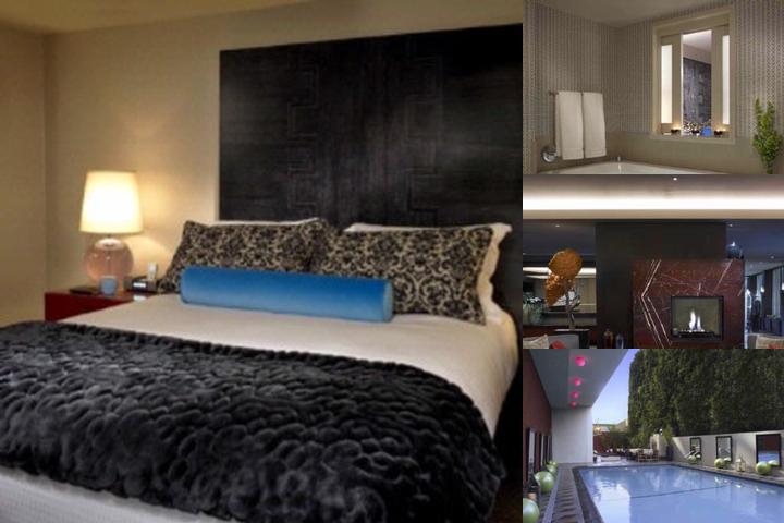 Kimpton Hotel Palomar Los Angeles Beverly Hills by IHG photo collage