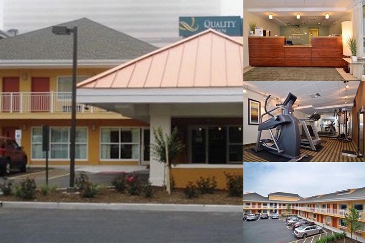 Quality Inn Flamingo photo collage