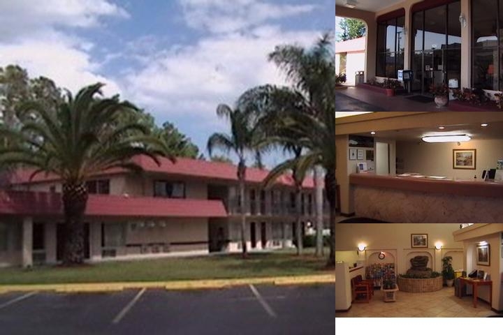 Motel 6 Daytona Beach, FL - Speedway photo collage