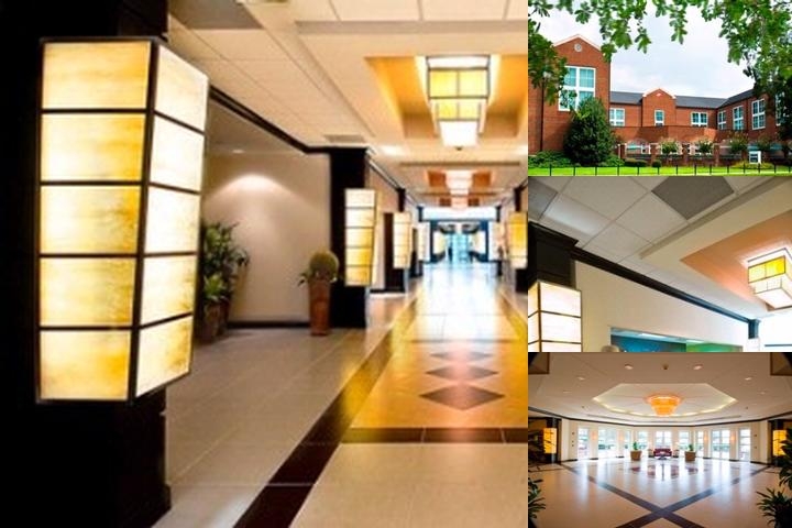 Hotel Capstone photo collage
