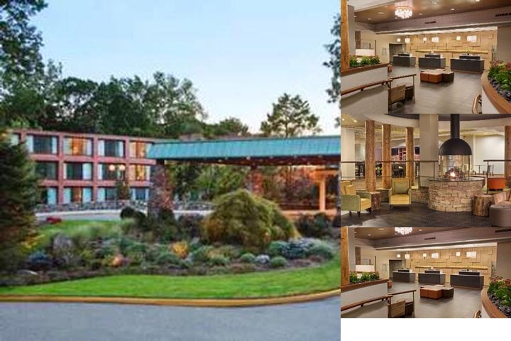 Hilton Westchester photo collage