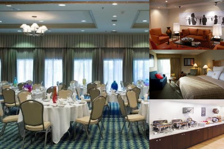 Wyndham Garden New Orleans Airport photo collage