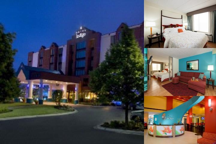 Hotel Indigo Chicago Vernon Hills An Ihg Hotel photo collage