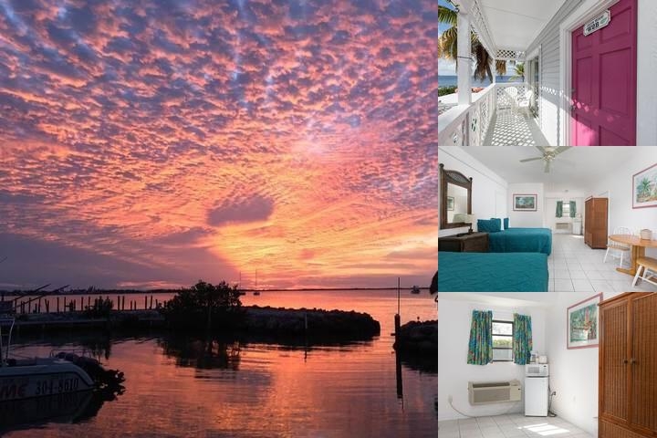 Amoray Dive Resort photo collage