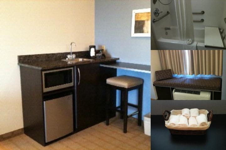 Microtel Inn & Suites by Wyndham Tuscaloosa/Near University photo collage