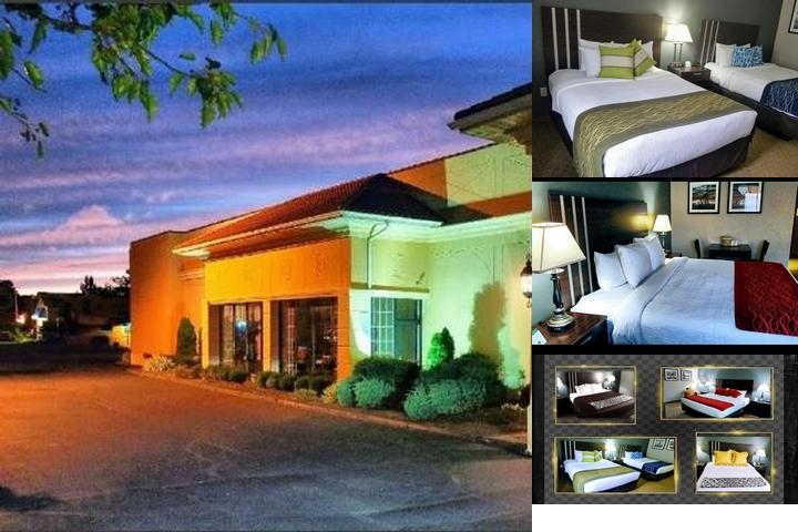 Bel-Aire Hotel Lake Erie photo collage