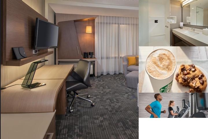 Courtyard by Marriott Tampa Northwest/Veterans Expressway photo collage