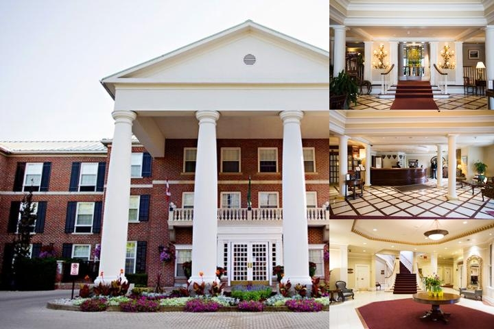 Queen's Landing photo collage