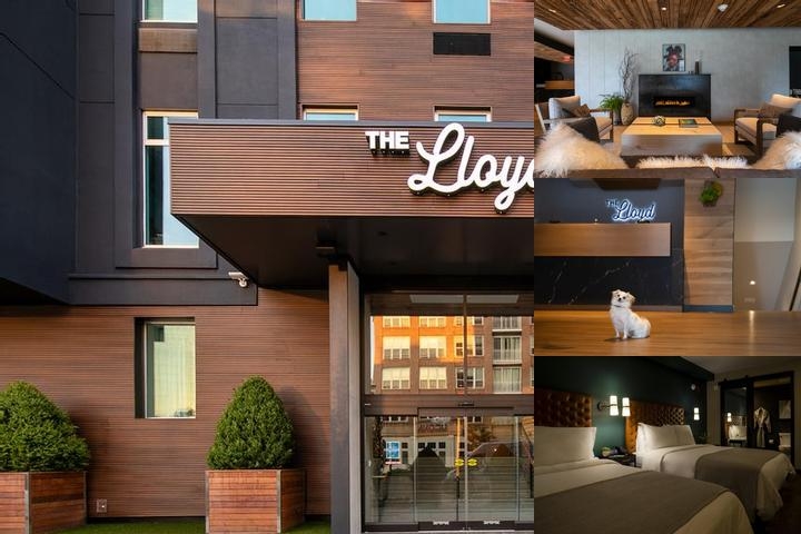 The Lloyd Stamford, Tapestry Collection by Hilton photo collage