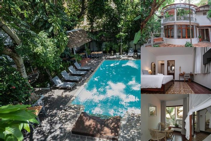 Jungle Addition photo collage