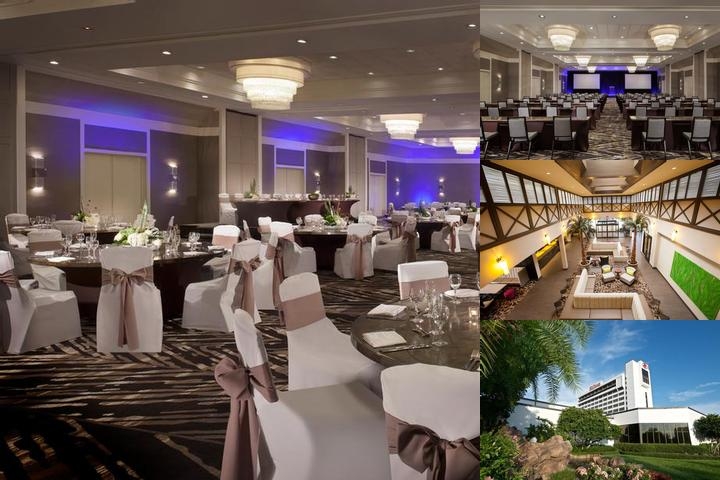 Hilton Tampa Airport Westshore photo collage