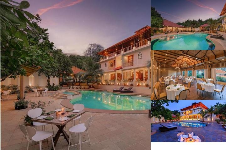 Golden Tulip Mandrem photo collage