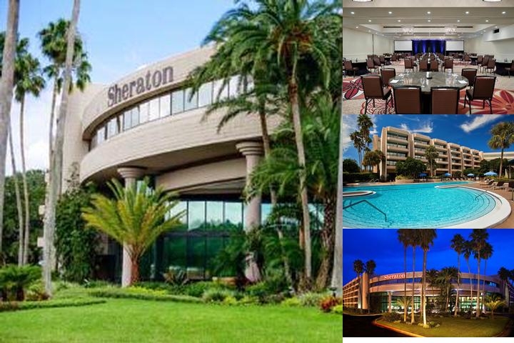 Sheraton Tampa Brandon Hotel photo collage