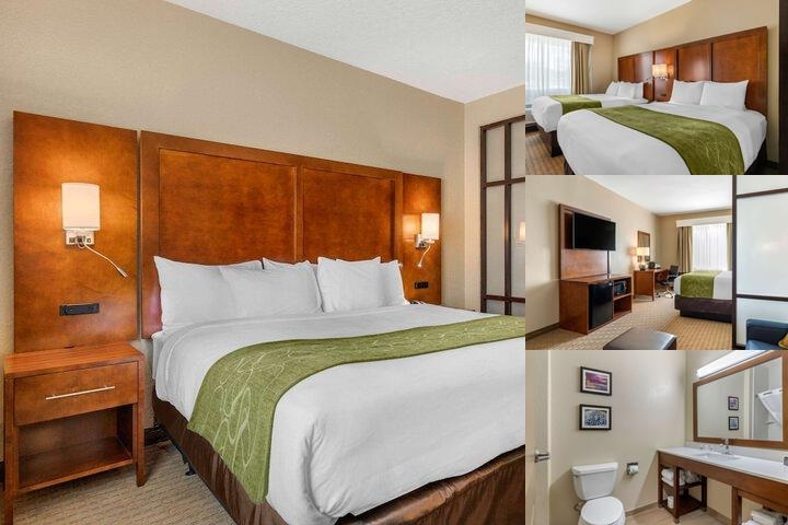 Comfort Suites San Antonio Airport North photo collage