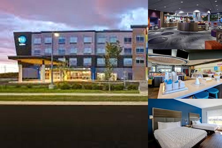 TRU by Hilton Monroe Oh photo collage