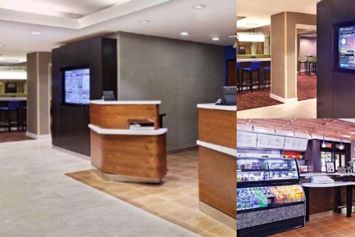 Courtyard by Marriott Tampa North / I 75 Fletcher photo collage
