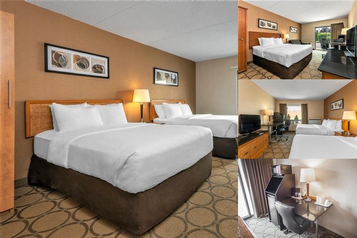 Comfort Inn Dryden photo collage