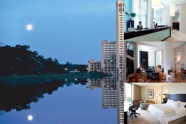 Hilton Buena Vista Palace photo collage