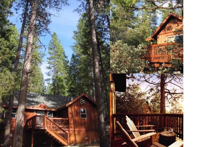 Evergreen Lodge photo collage