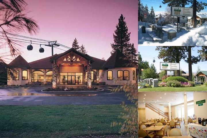 Forest Suites Resort photo collage