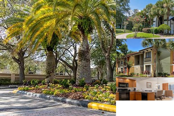 Legacy Vacation Resorts Lake Buena Vista photo collage