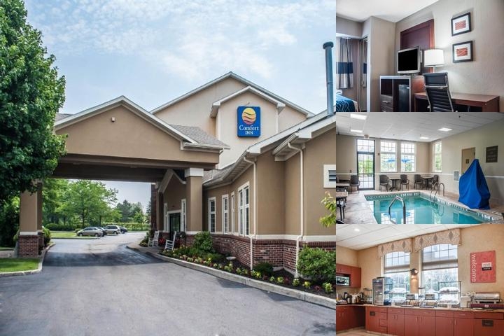 Comfort Inn University photo collage