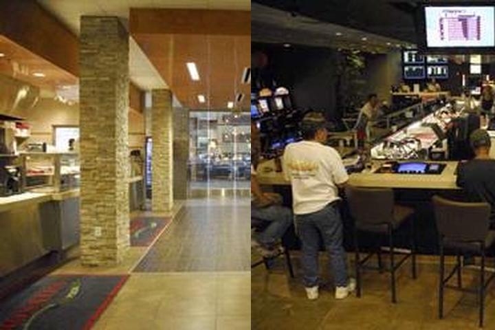 Gold Spike Hotel & Casino photo collage