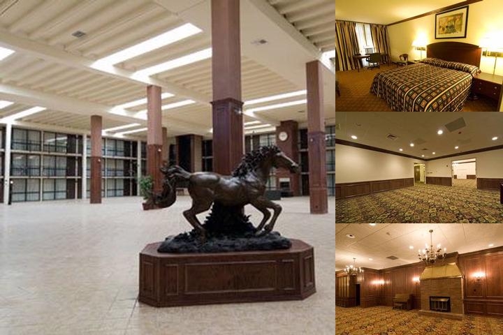 Rodeway Inn Abilene West photo collage