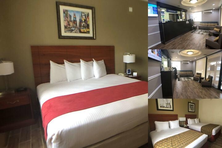 Best Western Jamaica Inn photo collage