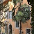 Image of A Casa Di Paola Suite