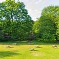Photo of Adamton Country House Hotel