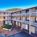 Image of Albany Motel & Apartments