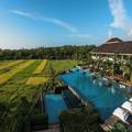 Image of Alila Diwa Goa - A Hyatt Brand