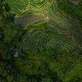 Exterior of Alila Ubud. Bali