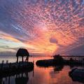 Image of Amoray Dive Resort