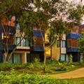 Image of Amorita Resort Bohol