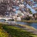 Image of Ana Crowne Plaza Kanazawa by IHG