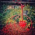 Photo of Arabella Hotel Sedona