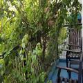 Photo of Asili Town House