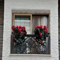 Photo of Aybar Hotel & Spa