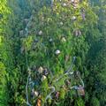 Image of Bagus Jati Health & Well Being Retreat