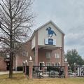 Image of Baymont by Wyndham Willow Park