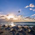 Image of Beach Club at the Boca Raton