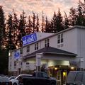 Image of Bellis Inn