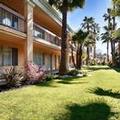 Exterior of Best Western Palm Court Inn